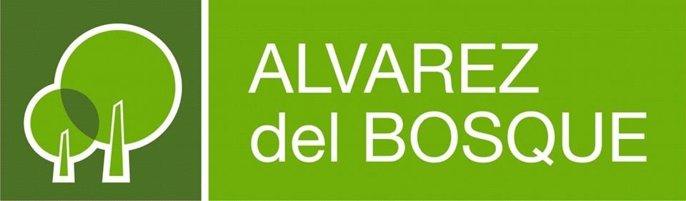ALVAREZ DEL BOSQUE - RODRIGUEZ